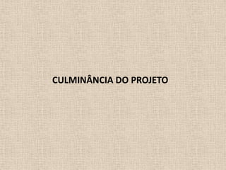 CULMINÂNCIA DO PROJETO

 