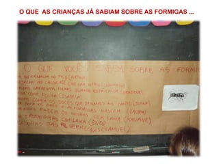 O QUE AS CRIANÇAS JÁ SABIAM SOBRE AS FORMIGAS ...

 