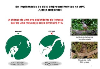 Projetos na APA-AB_avaliação e alternativas_FINAL (1).pdf