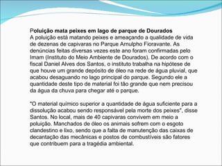 Poluição mata peixes em lago de parque de Dourados
A poluição está matando peixes e ameaçando a qualidade de vida
de dezenas de capivaras no Parque Arnulpho Fioravante. As
denúncias feitas diversas vezes este ano foram confirmadas pelo
Imam (Instituto do Meio Ambiente de Dourados). De acordo com o
fiscal Daniel Alves dos Santos, o instituto trabalha na hipótese de
que houve um grande depósito de óleo na rede de água pluvial, que
acabou desaguando no lago principal do parque. Segundo ele a
quantidade deste tipo de material foi tão grande que nem precisou
da água da chuva para chegar até o parque.

"O material químico superior a quantidade de água suficiente para a
dissolução acabou sendo responsável pela morte dos peixes", disse
Santos. No local, mais de 40 capivaras convivem em meio a
poluição. Manchados de óleo os animais sofrem com o esgoto
clandestino e lixo, sendo que a falta de manutenção das caixas de
decantação das mecânicas e postos de combustíveis são fatores
que contribuem para a tragédia ambiental.
 