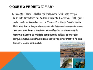 O QUE É O PROJETO TAMAR?
 O Projeto Tamar-ICMBio foi criado em 1980, pelo antigo
 Instituto Brasileiro de Desenvolvimento Florestal-IBDF, que
 mais tarde se transformou no Ibama-Instituto Brasileiro de
 Meio Ambiente. Hoje, é reconhecido internacionalmente como
 uma das mais bem sucedidas experiências de conservação
 marinha e serve de modelo para outros países, sobretudo
 porque envolve as comunidades costeiras diretamente no seu
 trabalho sócio-ambiental.
 