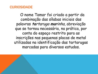 CURIOSIDADE

      O nome Tamar foi criado a partir da
       combinação das sílabas iniciais das
    palavras tartaruga marinha, abreviação
   que se tornou necessária, na prática, por
        conta do espaço restrito para as
   inscrições nas pequenas placas de metal
  utilizadas na identificação das tartarugas
        marcadas para diversos estudos.
 