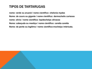 TIPOS DE TARTARUGAS
nome: verde ou aruanã / nome cientifico: chelonia mydas
Nome: de couro ou gigante / nome cientifico: dermochelis coriacea
nome: olivia / nome cientifico: lepidochelys olivacea
Nome: cabeçuda ou mestiça / nome cientifico: caretta caretta
Nome: de pente ou legítima / nome cientifico:mochelys imbricata.
 
