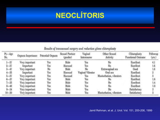 NEOCLÍTORIS Jamil Rehman, et al. J. Urol. Vol. 151, 200-206, 1999 
