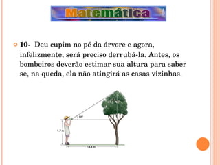10-  Deu cupim no pé da árvore e agora, infelizmente, será preciso derrubá-la. Antes, os bombeiros deverão estimar sua altura para saber se, na queda, ela não atingirá as casas vizinhas. 