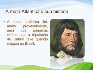 A mata Atlântica e sua historia
• A mata atlântica foi,
muito
provavelmente,
uma
das
primeiras
visões que a tripulação
de Cabral teve quando
chegou ao Brasil.

 