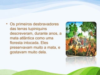 • Os primeiros desbravadores
das terras tupiniquins
descreveram, durante anos, a
mata atlântica como uma
floresta intocada. Eles
preservavam muito a mata, e
gostavam muito dela.

 