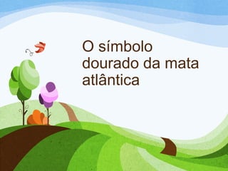 O símbolo
dourado da mata
atlântica

 