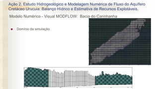  Domínio da simulação
Ação 2. Estudo Hidrogeológico e Modelagem Numérica de Fluxo do Aquífero
Cretáceo Urucuia: Balanço Hídrico e Estimativa de Recursos Explotáveis.
Modelo Numérico - Visual MODFLOW: Bacia do Carinhanha
 