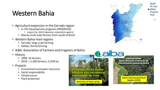 Brazil
SF river
Bahia
Projects
VisitWestern Bahia
• Agriculture expansion in the Cerrado region
• In 70’s Development prog...