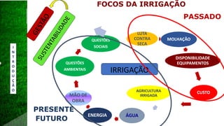 LUTA
CONTRA
SECA
MOLHAÇÃO
DISPONIBILIDADE
EQUIPAMENTOS
CUSTOAGRICULTURA
IRRIGADA
ÁGUAENERGIA
MÃO DE
OBRA
QUESTÕES
AMBIENTAIS
QUESTÕES
SOCIAIS
IRRIGAÇÃO
FOCOS DA IRRIGAÇÃO
PASSADO
PRESENTE
FUTURO
I
N
T
R
O
D
U
Ç
Ã
O
 