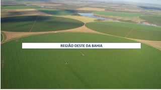 REGIÃO OESTE DA BAHIA
 