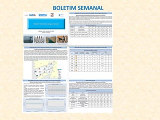 BOLETIM SEMANAL
 
