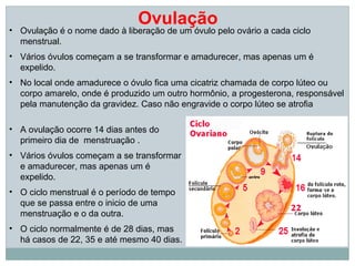 Ovulação
• Ovulação é o nome dado à liberação de um óvulo pelo ovário a cada ciclo
  menstrual.
• Vários óvulos começam a se transformar e amadurecer, mas apenas um é
  expelido.
• No local onde amadurece o óvulo fica uma cicatriz chamada de corpo lúteo ou
  corpo amarelo, onde é produzido um outro hormônio, a progesterona, responsável
  pela manutenção da gravidez. Caso não engravide o corpo lúteo se atrofia

• A ovulação ocorre 14 dias antes do
  primeiro dia de menstruação .
• Vários óvulos começam a se transformar
  e amadurecer, mas apenas um é
  expelido.
• O ciclo menstrual é o período de tempo
  que se passa entre o inicio de uma
  menstruação e o da outra.
• O ciclo normalmente é de 28 dias, mas
  há casos de 22, 35 e até mesmo 40 dias.
 