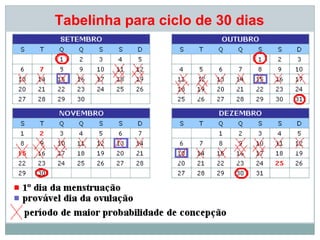 Tabelinha para ciclo de 30 dias
 