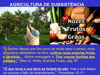 AGRICULTURA DE SUBSISTÊNCIA




“O Senhor deseja que Seu povo se mude para o campo, onde
se poderá estabelecer na terra, cultivar suas próprias frutas
e verduras,... Minha mensagem é: Tirai vossas famílias das
cidades.” Ellen G. White, Eventos Finais, pág. 87.

“O que lavra a sua terra se fartará de pão; mas o que segue
os ociosos é falto de entendimento.” Provérbios 12:11.
 