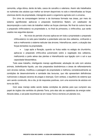 camomila, urtiga dióica, dente de leão, casca de carvalho e valeriana. Assim são trabalhados
os nutrientes dos adubos que melhor se tornam disponíveis no solo e intensificadas as forças
cósmicas dentro da propriedade, interagindo assim o organismo agrícola com o universo.
Em cima da compostagem laminar e da biomassa formada nas áreas, por meio do
sistema agroflorestal, aplica-se o preparado biodinâmico fladem, um catalisador de
decomposição e outro meio de trabalhar melhor as forças cósmicas. No final do outono faz-se
o preparado chifre-esterco na propriedade e, no final da primavera, o chifre-sílica, que serão
usados nas seguintes épocas:
• No início do período chuvoso aplica-se em toda a propriedade o preparado
chifre-esterco no solo para trabalhar a polaridade solo-raiz dos cafeeiros, vivificando o
solo e melhorando o sistema radicular das árvores. Intensifica-se, assim, a atuação das
forças terrestres na propriedade.
• Logo após a floração, quando os frutos estão no estágio de chumbinho,
aplica-se o preparado chifre-sílica pulverizado sobre a vegetação dos cafeeiros,
melhorando a parte aérea das plantas e intensificando sua ligação com o sol e sua
capacidade fotossintética.
Todo esse trabalho, interligando manejo agroflorestal, adubação de solo com adubos
animais, biofertilizante líquido, uso dos preparados biodinâmicos e áreas de reflorestamento
com árvores nativas, modificou a paisagem da propriedade e melhorou consideravelmente as
condições de desenvolvimento e sanidade das lavouras, que não apresentam deficiências
nutricionais e ataques severos de pragas e doenças. Com certeza, o equilíbrio do sistema que
vem sendo construído, dia a dia, já dá respostas positivas, com uma economia de adubos em
torno de 50%.
Com esse manejo estão sendo dadas condições às plantas para que cumpram seu
papel de órgãos dos sentidos do planeta Terra, pois elas são as captadoras da energia solar.
Através delas, o sol pode reconhecer-se em nossa Terra e torná-la um planeta vivo.
PROJETO VIDA NO CAMPO - A VIDA EM HARMONIA COM A NATUREZA 121
 
