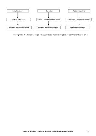Agricultura Floresta Rebanho animal
Cultura + Árvores Cultura + Árvores +Rebanho animal Árvores + Rebanho animal
Sistema Agrossilvicultural Sistema Agrossilvipastoril Sistema Silvipastoril
Fluxograma 1 – Representação diagramática de associações de componentes do SAF
PROJETO VIDA NO CAMPO - A VIDA EM HARMONIA COM A NATUREZA 147
 