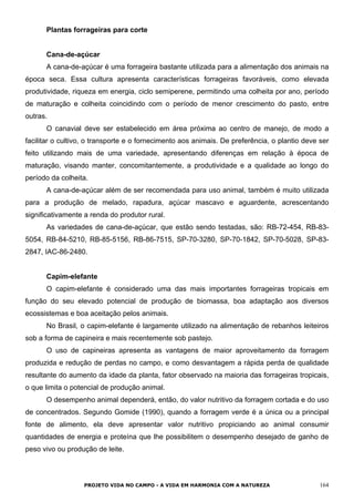 Plantas forrageiras para corte
Cana-de-açúcar
A cana-de-açúcar é uma forrageira bastante utilizada para a alimentação dos animais na
época seca. Essa cultura apresenta características forrageiras favoráveis, como elevada
produtividade, riqueza em energia, ciclo semiperene, permitindo uma colheita por ano, período
de maturação e colheita coincidindo com o período de menor crescimento do pasto, entre
outras.
O canavial deve ser estabelecido em área próxima ao centro de manejo, de modo a
facilitar o cultivo, o transporte e o fornecimento aos animais. De preferência, o plantio deve ser
feito utilizando mais de uma variedade, apresentando diferenças em relação à época de
maturação, visando manter, concomitantemente, a produtividade e a qualidade ao longo do
período da colheita.
A cana-de-açúcar além de ser recomendada para uso animal, também é muito utilizada
para a produção de melado, rapadura, açúcar mascavo e aguardente, acrescentando
significativamente a renda do produtor rural.
As variedades de cana-de-açúcar, que estão sendo testadas, são: RB-72-454, RB-83-
5054, RB-84-5210, RB-85-5156, RB-86-7515, SP-70-3280, SP-70-1842, SP-70-5028, SP-83-
2847, IAC-86-2480.
Capim-elefante
O capim-elefante é considerado uma das mais importantes forrageiras tropicais em
função do seu elevado potencial de produção de biomassa, boa adaptação aos diversos
ecossistemas e boa aceitação pelos animais.
No Brasil, o capim-elefante é largamente utilizado na alimentação de rebanhos leiteiros
sob a forma de capineira e mais recentemente sob pastejo.
O uso de capineiras apresenta as vantagens de maior aproveitamento da forragem
produzida e redução de perdas no campo, e como desvantagem a rápida perda de qualidade
resultante do aumento da idade da planta, fator observado na maioria das forrageiras tropicais,
o que limita o potencial de produção animal.
O desempenho animal dependerá, então, do valor nutritivo da forragem cortada e do uso
de concentrados. Segundo Gomide (1990), quando a forragem verde é a única ou a principal
fonte de alimento, ela deve apresentar valor nutritivo propiciando ao animal consumir
quantidades de energia e proteína que lhe possibilitem o desempenho desejado de ganho de
peso vivo ou produção de leite.
PROJETO VIDA NO CAMPO - A VIDA EM HARMONIA COM A NATUREZA 164
 
