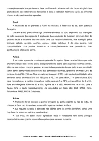 conseqüentemente boa persistência, bom perfilhamento, sistema radicular denso atingindo boa
profundidade, são relativamente tolerantes à seca e rebrotam facilmente após as primeiras
chuvas e não são tolerantes a geadas.
Rami
A finalidade de ter plantado o Rami, na chácara, é fazer uso do seu bom potencial
forrageiro.
O Rami é uma planta que exige uma boa fertilidade do solo, exige uma boa drenagem
do solo, apresenta boa resposta à adubação, boa produção de forragem com bom teor de
proteína bruta e excelente teor de cálcio, uma boa relação folha/caule, boa aceitação pelos
animais, cabras, cavalos, coelhos, porcos, vacas, galinhas, é de ciclo perene, boa
competitividade com plantas invasoras e conseqüentemente boa persistência, bom
perfilhamento e tolerante ao frio.
Amora
A amoreira apresenta um elevado potencial forrageiro. Suas características que mais
chamam atenção são: é uma planta excepcionalmente aceita pelos caprinos e outros animais,
além de ser rústica, precoce, perene, apresenta boa produção durante todo o ano permitindo
vários cortes com poucas alterações na sua composição química, apresenta em média 25% de
proteína bruta (PB), 25% de fibra em detergente neutro (FDN), valores de digestibilidade altos
em fenos sendo em média 75% MS, 78% para a PB, 73% para a FDN, 77% para celulose, 82%
para hemicelulose, a matéria mineral em média varia de 5 a 10%, extrato etéreo de 3 a 5%,
fibra em detergente ácido de 20 a 40%, lignina de 7 a 13%, celulose de 10 a 40%, para a
fração folha e caule respectivamente. As variedades em teste são: SK4, SM63, Korin,
Tailandesa, FM86, FM3/3, Calabresa.
Palma
A finalidade de ter plantado a palma forrageira ou palma gigante ou figo da índia, na
chácara, é fazer uso do seu bom potencial forrageiro e também frutífero.
A sua raquete é picada e colocada nos cochos para os animais comerem, sendo uma
boa fonte de volumoso, cálcio e extrato etéreo.
A sua fruta, de sabor muito agradável, doce e refrescante tem como principal
característica o seu grande potencial energético para os seres humanos.
PROJETO VIDA NO CAMPO - A VIDA EM HARMONIA COM A NATUREZA 166
 