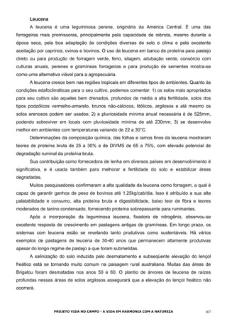 Leucena
A leucena é uma leguminosa perene, originária da América Central. È uma das
forrageiras mais promissoras, principalmente pela capacidade de rebrota, mesmo durante a
época seca, pela boa adaptação às condições diversas de solo e clima e pela excelente
aceitação por caprinos, ovinos e bovinos. O uso da leucena em banco de proteína para pastejo
direto ou para produção de forragem verde, feno, silagem, adubação verde, consórcio com
culturas anuais, perenes e gramíneas forrageiras e para produção de sementes mostra-se
como uma alternativa viável para a agropecuária.
A leucena cresce bem nas regiões tropicais em diferentes tipos de ambientes. Quanto às
condições edafoclimáticas para o seu cultivo, podemos comentar: 1) os solos mais apropriados
para seu cultivo são aqueles bem drenados, profundos de média a alta fertilidade, solos dos
tipos podzólicos vermelho-amarelo, brunos não-cálcicos, litólicos, argilosos e até mesmo os
solos arenosos podem ser usados; 2) a pluviosidade mínima anual necessária é de 525mm,
podendo sobreviver em locais com pluviosidade mínima de até 230mm; 3) se desenvolve
melhor em ambientes com temperaturas variando de 22 a 30°C.
Determinações da composição química, das folhas e ramos finos da leucena mostraram
teores de proteína bruta de 25 a 30% e de DIVMS de 65 a 75%, com elevado potencial de
degradação ruminal da proteína bruta.
Sua contribuição como fornecedora de lenha em diversos países em desenvolvimento é
significativa, e é usada também para melhorar a fertilidade do solo e estabilizar áreas
degradadas.
Muitos pesquisadores confirmaram a alta qualidade da leucena como forragem, a qual é
capaz de garantir ganhos de peso de bovinos até 1,25kg/cab/dia. Isso é atribuído a sua alta
palatabilidade e consumo, alta proteína bruta e digestibilidade, baixo teor de fibra e teores
moderados de tanino condensado, fornecendo proteína sobrepassante para ruminantes.
Após a incorporação da leguminosa leucena, fixadora de nitrogênio, observou-se
excelente resposta de crescimento em pastagens antigas de gramíneas. Em longo prazo, os
sistemas com leucena estão se revelando tanto produtivos como sustentáveis. Há vários
exemplos de pastagens de leucena de 30-40 anos que permanecem altamente produtivas
apesar do longo regime de pastejo a que foram submetidas.
A salinização do solo induzida pelo desmatamento e subseqüente elevação do lençol
freático está se tornando muito comum na paisagem rural australiana. Muitas das áreas de
Brigalou foram desmatadas nos anos 50 e 60. O plantio de árvores de leucena de raízes
profundas nessas áreas de solos argilosos assegurará que a elevação do lençol freático não
ocorrerá.
PROJETO VIDA NO CAMPO - A VIDA EM HARMONIA COM A NATUREZA 167
 
