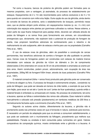 Tal como a leucena, bancos de proteína de gliricídia podem ser formados para os
mesmos propósitos, com a vantagem, já assinalada, do processo de estabelecimento por
estaquia. Espaçamentos de 2 x 1m são recomendados para cultivos exclusivos e de 4 x 1m
para quando em consórcio com milho e/ou feijão. Outra opção de uso da gliricídia, ainda dentro
do conceito de bancos de proteína, seria o estabelecimento de bosques, permitindo nesse
caso, que as plantas atinjam porte arbóreo, em espaçamentos maiores (p. ex.: 4 x 4m) com
colonização dos espaços entre plantas por gramíneas cultivadas ou nativas. Nesse sistema, a
maior parte da copa ficaria indisponível para pastejo direto, devendo ser utilizada através de
podas da folhagem e os ramos finos para fornecimento aos animais, em circunstâncias
emergenciais que, obviamente, não exploram todo o potencial de produção de forragem da
planta, mas propiciam benefícios adicionais do sombreamento para o rebanho e de
melhoramento do solo subjacente, além de estacas e lenha para uso na propriedade (Carvalho
Filho et al., 1997).
O uso de estacas vivas de gliricídias, além de possibilitar a construção de cercas
permanentes, traz benefícios adicionais de sombra e forragem de alta qualidade no período
seco. Cercas vivas de forrageiras podem ser construídas com estacas de madeira branca
intercaladas com estacas de gliricídia de 4,0cm de diâmetro e 2m de comprimento
(distanciados 2,5m) enterrados em covas de 30 cm de profundidade e amarradas ao arame por
dois anos. Assim construídas, podem prover, adicionalmente, sem ocupação de área nas
propriedades, 200kg MS de forragem/100m linear, através de duas podas/ano (Carvalho Filho
et al., 1997).
O material comestível (folha + ramos finos) produzido pela gliricídia pode ser conservado
na forma de silagem ou feno. O processo de fenação é extremamente simples , consistindo na
poda da folhagem, que pode ser deixada em terreno de chão batido, a exemplo do que se faz
com feijão, para secar ao sol até o “ponto de cura” (antes de ficar quebradiça), quando então o
material fenado é enfardado ou armazenado em medas. No processo de ensilamento, tal como
a leucena, apenas as folhas e extremidades dos ramos são utilizadas. Esse material é colhido
manualmente e colocado sob pressão (pisoteamento) em tambores metálicos de 200 litros e
hermeticamente fechados após o enchimento (Carvalho Filho et al., 1997).
Segundo os autores acima citados, diferentemente da leucena, a gliricídia não é
prontamente aceita nas primeiras vezes em que é fornecida in natura, sobretudo para bovinos.
É necessário um período de adaptação para que os animais a consumam satisfatoriamente, o
que pode ser acelerado com o murchamento da folhagem, procedimento que melhora sua
palatabilidade. Fenada ou ensilada é bem consumida pelos ruminantes em geral. Valores
comparativos de composição química, mostra similaridade entre a gliricídia e a leucena. A
PROJETO VIDA NO CAMPO - A VIDA EM HARMONIA COM A NATUREZA 169
 