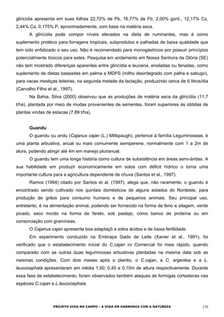 gliricídia apresenta em suas folhas 22,72% de Pb, 16,77% de Fb, 2,00% gord., 12,17% Cz,
2,44% Ca, 0,175% P, aproximadamente, com base na matéria seca.
A gliricídia pode compor níveis elevados na dieta de ruminantes, mas é como
suplemento protéico para forragens tropicais, subprodutos e palhadas de baixa qualidade que
tem sido enfatizado o seu uso. Não é recomendado para monogástricos por possuir princípios
potencialmente tóxicos para estes. Pesquisa em andamento em Nossa Senhora da Glória (SE)
não tem mostrado diferenças aparentes entre gliricídia e leucena, ensiladas ou fenadas, como
suplemento de dietas baseadas em palma e MDPS (milho desintegrado com palha e sabugo),
para vacas mestiças leiteiras, na segunda metade da lactação, produzindo cerca de 6 litros/dia
(Carvalho Filho et al., 1997).
Na Bahia, Silva (2000) observou que as produções de matéria seca da gliricídia (11,7
t/ha), plantada por meio de mudas provenientes de sementes, foram superiores às obtidas de
plantas vindas de estacas (7,89 t/ha).
Guandu
O guandu ou andu (Cajanus cajan (L.) Millspaugh), pertence à família Leguminoseae, é
uma planta arbustiva, anual ou mais comumente semiperene, normalmente com 1 a 2m de
alura, podendo atingir até 4m em manejo plurianual.
O guandu tem uma longa história como cultura de subsistência em áreas semi-áridas. A
sua habilidade em produzir economicamente em solos com déficit hídrico o torna uma
importante cultura para a agricultura dependente de chuva (Santos et al., 1997).
Ramos (1994) citado por Santos et al. (1997), alega que, não raramente, o guandu é
encontrado sendo cultivado nos quintais domésticos de alguns estados do Nordeste, para
produção de grãos para consumo humano e de pequenos animais. Seu principal uso,
entretanto, é na alimentação animal, podendo ser fornecido na forma de feno e silagem, verde
picado, seco moído na forma de farelo, sob pastejo, como banco de proteína ou em
consorciação com gramíneas.
O Cajanus cajan apresenta boa adaptaçõ a solos ácidos e de baixa fertilidade.
Em experimento conduzido na Embrapa Gado de Leite (Xavier et al., 1991), foi
verificado que o estabelecimento inicial do C.cajan cv Comercial foi mais rápido, quando
comparado com as outras duas leguminosas arbustivas plantadas na mesma data sob as
mesmas condições. Com dois meses após o plantio, o C.cajan, a C. argentea e a L.
leucocephala apresentaram em média 1,50; 0,45 e 0,10m de altura respectivamente. Durante
essa fase de estabelecimento, foram observados também ataques de formigas cortadeiras nas
espécies C.cajan e L.leucocephala.
PROJETO VIDA NO CAMPO - A VIDA EM HARMONIA COM A NATUREZA 170
 