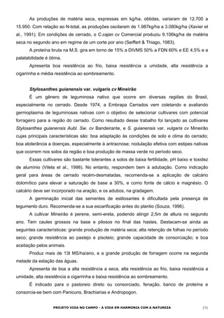 As produções de matéria seca, expressas em kg/ha, obtidas, variaram de 12.700 a
15.950. Com relação ao N-total, as produções oscilaram de 1.987kg/ha a 3.080kg/ha (Xavier et
al., 1991). Em condições de cerrado, o C.cajan cv Comercial produziu 9.106kg/ha de matéria
seca no segundo ano em regime de um corte por ano (Seiffert & Thiago, 1983).
A proteína bruta na M.S. gira em torno de 15% a DIVMS 50% a FDN 60% e EE 4,5% e a
palatabilidade é ótima.
Apresenta boa resistência ao frio, baixa resistência a umidade, alta resistência a
cigarrinha e média resistência ao sombreamento.
Stylosanthes guianensis var. vulgaris cv Mineirão
É um gênero de leguminosa nativo que ocorre em diversas regiões do Brasil,
especialmente no cerrado. Desde 1974, a Embrapa Cerrados vem coletando e avaliando
germoplasma de leguminosas nativas com o objetivo de selecionar cultivares com potencial
forrageiro para a região do cerrado. Como resultado desse trabalho foi lançado as cultivares
Stylosanthes guianensis Aubl. Sw. cv Bandeirante, e S. guianensis var. vulgaris cv Mineirão
cujas principais características são: boa adaptação às condições de solo e clima do cerrado;
boa atolerância a doenças, especialmente à antracnose; nodulação efetiva com estipes nativas
que ocorrem nos solos da região e boa produção de massa verde no período seco.
Essas cultivares são bastante tolerantes a solos de baixa fertilidade, pH baixo e toxidez
de alumínio (Vilela et al., 1998). No entanto, respondem bem à adubação. Como indicação
geral para áreas de cerrado recém-desmatadas, recomenda-se a aplicação de calcário
dolomítico para elevar a saturação de base a 30%, e como fonte de cálcio e magnésio. O
calcário deve ser incorporado na aração, e os adubos, na gradagem.
A germinação inicial das sementes de estilosantes é dificultada pela presença de
tegumento duro. Recomenda-se a sua escarificação antes do plantio (Souza, 1996).
A cultivar Mineirão é perene, semi-ereta, podendo atingir 2,5m de altura no segundo
ano. Tem caules grossos na base e pilosos no final das hastes. Destacam-se ainda as
seguintes características: grande produção de matéria seca; alta retenção de folhas no período
seco; grande resistência ao pastejo e pisoteio; grande capacidade de consorciação; e boa
aceitação pelos animais.
Produz mais de 13t MS/ha/ano, e a grande produção de forragem ocorre na segunda
metade da estação das águas.
Apresenta de boa a alta resistência a seca, alta resistência ao frio, baixa resistência a
umidade, alta resistência a cigarrinha e baixa resistência ao sombreamento.
É indicado para o pastoreio direto ou consorciado, fenação, banco de proteína e
consorcia-se bem com Panicuns, Brachiarias e Andropogon.
PROJETO VIDA NO CAMPO - A VIDA EM HARMONIA COM A NATUREZA 171
 