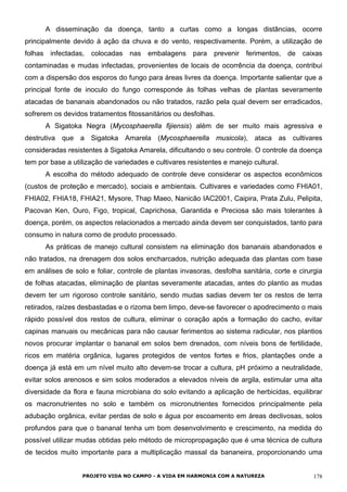 A disseminação da doença, tanto a curtas como a longas distâncias, ocorre
principalmente devido à ação da chuva e do vento, respectivamente. Porém, a utilização de
folhas infectadas, colocadas nas embalagens para prevenir ferimentos, de caixas
contaminadas e mudas infectadas, provenientes de locais de ocorrência da doença, contribui
com a dispersão dos esporos do fungo para áreas livres da doença. Importante salientar que a
principal fonte de inoculo do fungo corresponde às folhas velhas de plantas severamente
atacadas de bananais abandonados ou não tratados, razão pela qual devem ser erradicados,
sofrerem os devidos tratamentos fitossanitários ou desfolhas.
A Sigatoka Negra (Mycosphaerella fijiensis) além de ser muito mais agressiva e
destrutiva que a Sigatoka Amarela (Mycosphaerella musicola), ataca as cultivares
consideradas resistentes à Sigatoka Amarela, dificultando o seu controle. O controle da doença
tem por base a utilização de variedades e cultivares resistentes e manejo cultural.
A escolha do método adequado de controle deve considerar os aspectos econômicos
(custos de proteção e mercado), sociais e ambientais. Cultivares e variedades como FHIA01,
FHIA02, FHIA18, FHIA21, Mysore, Thap Maeo, Nanicão IAC2001, Caipira, Prata Zulu, Pelipita,
Pacovan Ken, Ouro, Figo, tropical, Caprichosa, Garantida e Preciosa são mais tolerantes à
doença, porém, os aspectos relacionados a mercado ainda devem ser conquistados, tanto para
consumo in natura como de produto processado.
As práticas de manejo cultural consistem na eliminação dos bananais abandonados e
não tratados, na drenagem dos solos encharcados, nutrição adequada das plantas com base
em análises de solo e foliar, controle de plantas invasoras, desfolha sanitária, corte e cirurgia
de folhas atacadas, eliminação de plantas severamente atacadas, antes do plantio as mudas
devem ter um rigoroso controle sanitário, sendo mudas sadias devem ter os restos de terra
retirados, raízes desbastadas e o rizoma bem limpo, deve-se favorecer o apodrecimento o mais
rápido possível dos restos de cultura, eliminar o coração após a formação do cacho, evitar
capinas manuais ou mecânicas para não causar ferimentos ao sistema radicular, nos plantios
novos procurar implantar o bananal em solos bem drenados, com níveis bons de fertilidade,
ricos em matéria orgânica, lugares protegidos de ventos fortes e frios, plantações onde a
doença já está em um nível muito alto devem-se trocar a cultura, pH próximo a neutralidade,
evitar solos arenosos e sim solos moderados a elevados níveis de argila, estimular uma alta
diversidade da flora e fauna microbiana do solo evitando a aplicação de herbicidas, equilibrar
os macronutrientes no solo e também os micronutrientes fornecidos principalmente pela
adubação orgânica, evitar perdas de solo e água por escoamento em áreas declivosas, solos
profundos para que o bananal tenha um bom desenvolvimento e crescimento, na medida do
possível utilizar mudas obtidas pelo método de micropropagação que é uma técnica de cultura
de tecidos muito importante para a multiplicação massal da bananeira, proporcionando uma
PROJETO VIDA NO CAMPO - A VIDA EM HARMONIA COM A NATUREZA 178
 