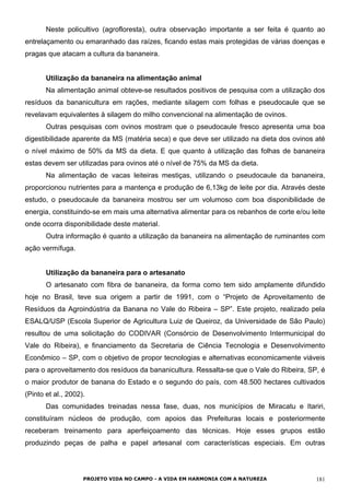 Neste policultivo (agrofloresta), outra observação importante a ser feita é quanto ao
entrelaçamento ou emaranhado das raízes, ficando estas mais protegidas de várias doenças e
pragas que atacam a cultura da bananeira.
Utilização da bananeira na alimentação animal
Na alimentação animal obteve-se resultados positivos de pesquisa com a utilização dos
resíduos da bananicultura em rações, mediante silagem com folhas e pseudocaule que se
revelavam equivalentes à silagem do milho convencional na alimentação de ovinos.
Outras pesquisas com ovinos mostram que o pseudocaule fresco apresenta uma boa
digestibilidade aparente da MS (matéria seca) e que deve ser utilizado na dieta dos ovinos até
o nível máximo de 50% da MS da dieta. E que quanto à utilização das folhas de bananeira
estas devem ser utilizadas para ovinos até o nível de 75% da MS da dieta.
Na alimentação de vacas leiteiras mestiças, utilizando o pseudocaule da bananeira,
proporcionou nutrientes para a mantença e produção de 6,13kg de leite por dia. Através deste
estudo, o pseudocaule da bananeira mostrou ser um volumoso com boa disponibilidade de
energia, constituindo-se em mais uma alternativa alimentar para os rebanhos de corte e/ou leite
onde ocorra disponibilidade deste material.
Outra informação é quanto a utilização da bananeira na alimentação de ruminantes com
ação vermífuga.
Utilização da bananeira para o artesanato
O artesanato com fibra de bananeira, da forma como tem sido amplamente difundido
hoje no Brasil, teve sua origem a partir de 1991, com o “Projeto de Aproveitamento de
Resíduos da Agroindústria da Banana no Vale do Ribeira – SP”. Este projeto, realizado pela
ESALQ/USP (Escola Superior de Agricultura Luiz de Queiroz, da Universidade de São Paulo)
resultou de uma solicitação do CODIVAR (Consórcio de Desenvolvimento Intermunicipal do
Vale do Ribeira), e financiamento da Secretaria de Ciência Tecnologia e Desenvolvimento
Econômico – SP, com o objetivo de propor tecnologias e alternativas economicamente viáveis
para o aproveitamento dos resíduos da bananicultura. Ressalta-se que o Vale do Ribeira, SP, é
o maior produtor de banana do Estado e o segundo do país, com 48.500 hectares cultivados
(Pinto et al., 2002).
Das comunidades treinadas nessa fase, duas, nos municípios de Miracatu e Itariri,
constituíram núcleos de produção, com apoios das Prefeituras locais e posteriormente
receberam treinamento para aperfeiçoamento das técnicas. Hoje esses grupos estão
produzindo peças de palha e papel artesanal com características especiais. Em outras
PROJETO VIDA NO CAMPO - A VIDA EM HARMONIA COM A NATUREZA 181
 