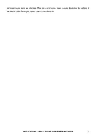 particularmente para as crianças. Mas até o momento, esse recurso biológico tão valioso é
explorado pelos flamingos, que o usam como alimento.
PROJETO VIDA NO CAMPO - A VIDA EM HARMONIA COM A NATUREZA 31
 