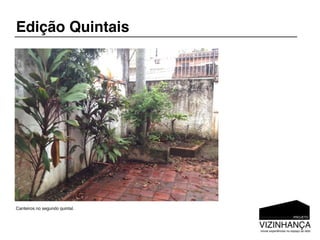 Edição Quintais




Canteiros no segundo quintal.
 