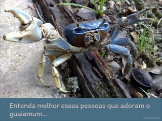 @ Eitan Rosenthal
• apremai.org.br/
Entenda melhor essas pessoas que adoram o
guaiamum…
 