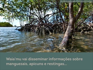 @ Eitan Rosenthal
potiguarte.blogspot.com.br | foto Fernando Chiriboga
Waia’mu vai disseminar informações sobre
manguezais, apicuns e restingas…
 