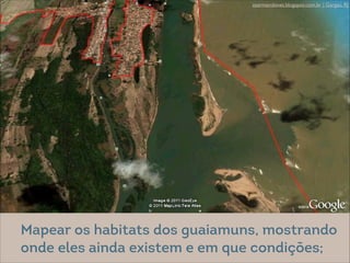 @ Eitan Rosenthal
zearmandonet.blogspot.com.br | Gargaú, RJ
Mapear os habitats dos guaiamuns, mostrando
onde eles ainda existem e em que condições;
 