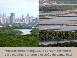 @ Eitan Rosenthal
tribunadonorte.com.br | foto Francisco Nunes da SilvaRecife | foto chivunck
Mostrar como manguezais perdem território
para cidades, turismo e criação de camarões;
 