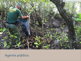 @ Eitan Rosenthal
www.brasil.gov.br/meio-ambiente/
Agente público,
 