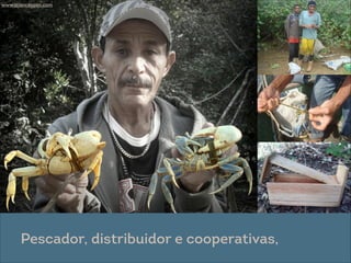 @ Eitan Rosenthal
www.scienceopen.com
Pescador, distribuidor e cooperativas,
 