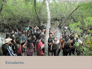 @ Eitan Rosenthal
fespemacao.fespmg.edu.br | prof. resp.Adilson Fransogo
Estudante.
 