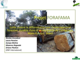 Projet FORAFAMA
Lutte contre la déforestation par l’aménagement
forestier durable dans la municipalité de Cotriguaçu,
Mato Grosso, Brésil
Nicolas Grondard
Laura Pavoine
Soraya Molina
Maxence Rageade
Oriane Pledran
(ONF International)
 