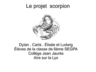Le projet scorpion
Dylan , Carla , Élisée et Ludwig
Élèves de la classe de 6ème SEGPA
Collège Jean Jaurès
Aire sur la Lys
 