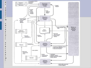 P
J
Y
ö
n
e
t
i
m
s
ü
r
e
ç
l
e
r
i
e
t
k
i
l
e
ş
i
m
i

 