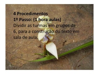 4 Procedimentos1º Passo: (1 hora aulas)Dividir as turmas em grupos de 6, para a construção do texto em sala de aula.