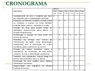 CRONOGRAMA 