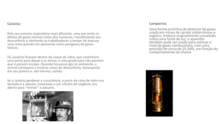 Lamparina
Uma forma primitiva de detector de gases
usada em minas de carvão subterrâneas e
esgotos. Embora originalmente concebido
como uma fonte de luz, o aparelho
também pode ser usado para estimar o
nível de gases combustíveis, com uma
precisão de cerca de 25-50%, em função do
comportamento da chama
Canários
Pelo seu sistema respiratório mais eficiente, uma ave sente os
efeitos de gases nocivos antes dos humanos, manifestando seu
desconforto e alertando os trabalhadores a tempo de evacuar
uma mina quando ela apresenta níveis perigosos de gases
tóxicos.
Os canários ficavam dentro de caixas de vidro, que continham
uma porta para deixar o ar entrar, e uma grade para não permitir
que o pássaro escape. Quando houvesse gás no ambiente, o
animal começaria a mostrar sinais de desconforto, balançando
em seu poleiro e, até mesmo, caindo.
Se o canário perdesse a consciência, a porta da caixa de vidro era
fechada e a válvula, conectada a um cilindro de oxigênio, era
aberta para “reviver” o pássaro.
 