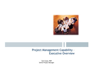 Project Management Capability –
            Executive Overview

        Sam Casas, PMP
     Senior Project Manager
 