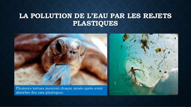 Les Causes De La Pollution Marine Pdf – KVYOO