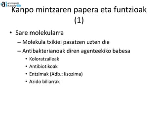 Kanpo mintzaren papera eta funtzioak
                (1)
• Sare molekularra
  – Molekula txikiei pasatzen uzten die
  – Antibakterianoak diren agenteekiko babesa
     •   Koloratzaileak
     •   Antibiotikoak
     •   Entzimak (Adb.: lisozima)
     •   Azido biliarrak
 
