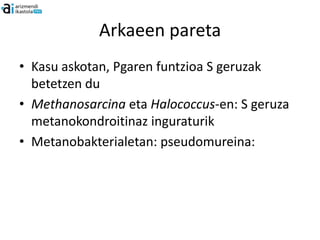 Arkaeen pareta
• Kasu askotan, Pgaren funtzioa S geruzak
  betetzen du
• Methanosarcina eta Halococcus-en: S geruza
  metanokondroitinaz inguraturik
• Metanobakterialetan: pseudomureina:
 