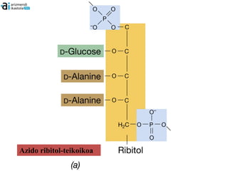 Azido ribitol-teikoikoa
 